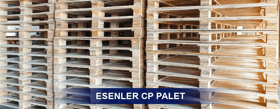 Esenler Standart Tipler