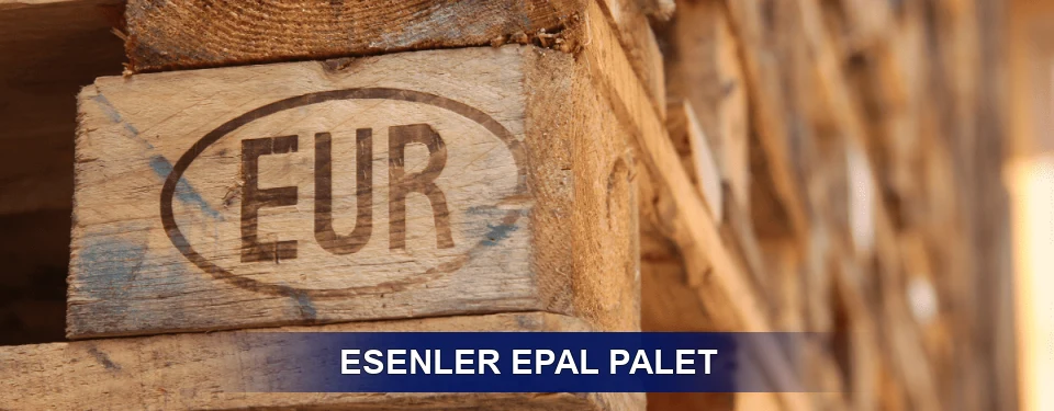 Esenler Standart Yapı